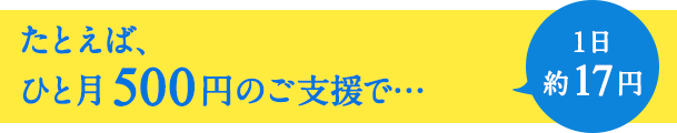たとえば、ひと月500円のご支援で...1日約17円