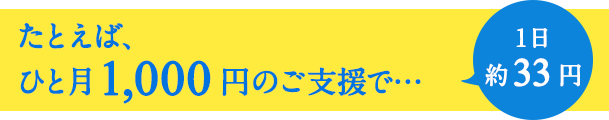 たとえば、ひと月1,000円のご支援で...1日約33円