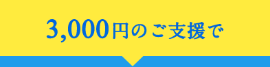 月3,000円のご支援で