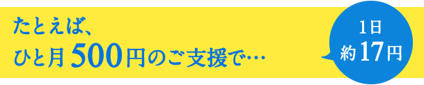 たとえば、ひと月500円のご支援で… 1日約17円