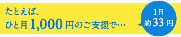 たとえば、ひと月1,000円のご支援で… 1日約33円