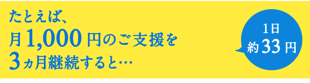 たとえば、月1,000円のご支援を3ヵ月継続すると… 1日約33円