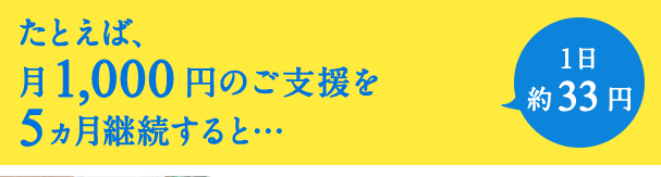 たとえば、月1,000円のご支援を5ヵ月継続すると… 1日約33円