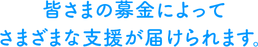 皆さまの募金によってさまざまな支援が届けられます。