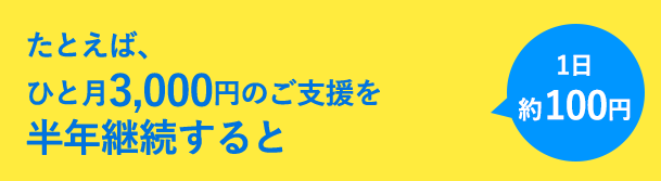 たとえば、ひと月3,000円のご支援を半年継続すると...1日約100円