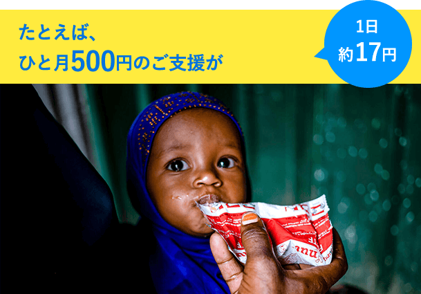 1日約17円 たとえば、ひと月500円のご支援で