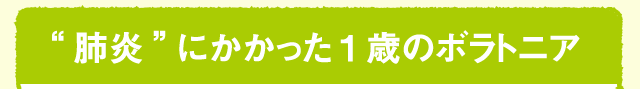 肺炎にかかった1歳のボラトニア