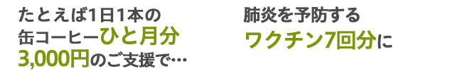 たとえば3,000円のご支援で・・・肺炎を予防するワクチン7回分に