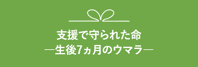 支援で守られた命―生後7ヵ月のウマラ―