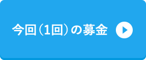 今回（1回）の募金
