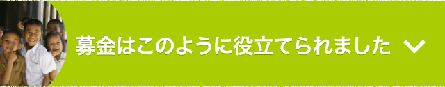 募金はこのように役立てられました