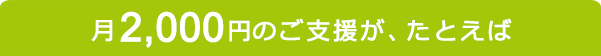 月2,000円のご支援が、たとえば