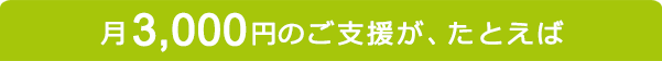 月3,000円のご支援が、たとえば