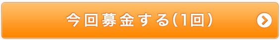 今回募金する（1回）