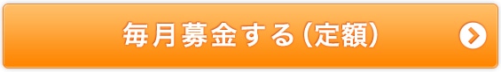 毎月募金する（定額）
