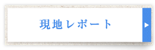 現地からの最新レポート