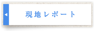 現地からの最新レポート