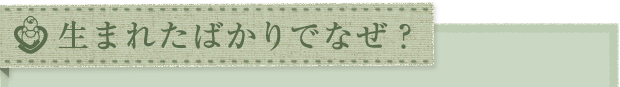 生まれたばかりで、なぜ？