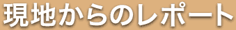 現地からのレポート