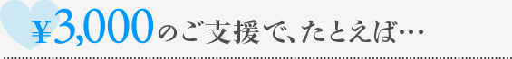 \3,000のご支援で、たとえば…