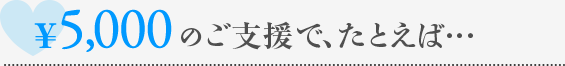 \5,000のご支援で、たとえば…