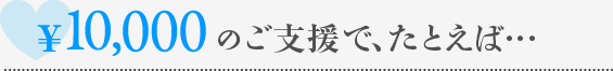 \10,000のご支援で、たとえば…