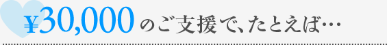 \30,000のご支援で、たとえば…