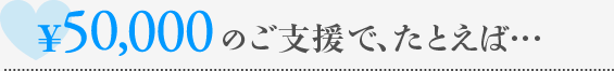 \5,0000のご支援で、たとえば…