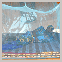 殺虫処理済みの蚊帳