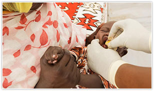 3,000円のご支援が