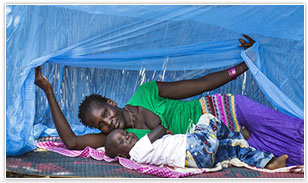 50,000円のご支援が