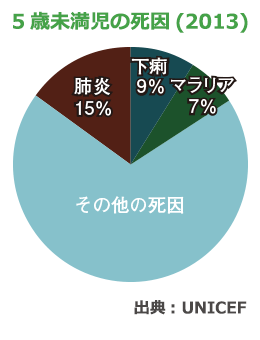 5歳未満児の死因（2013）