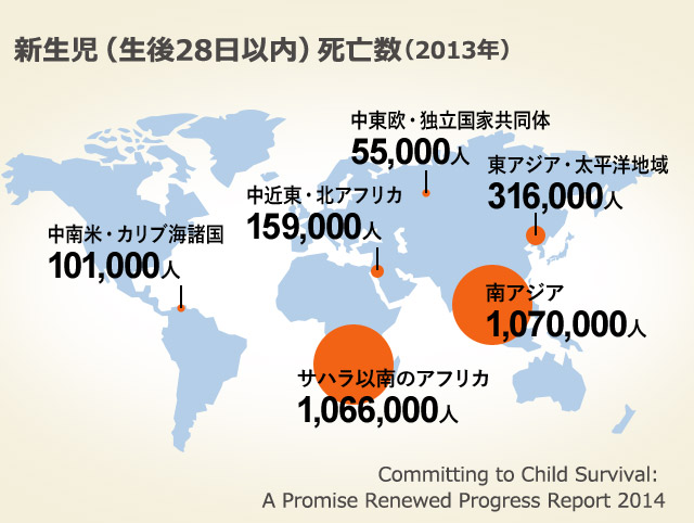 新生児（生後28日以内）死亡数（2013年）
