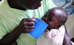 3,000円のご支援が