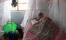 30,000円のご支援が