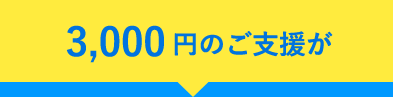 3,000円のご支援が
