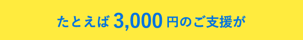 3,000円のご支援が