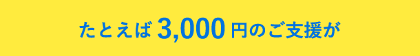 3,000円のご支援が