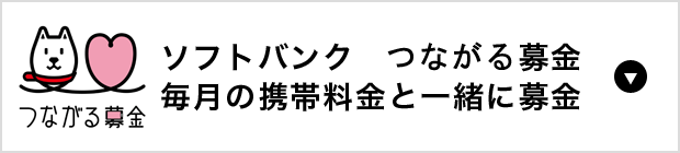つながる募金