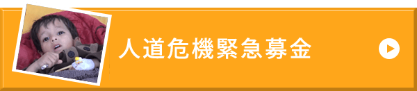 人道危機緊急募金
