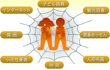 クモの巣モデル