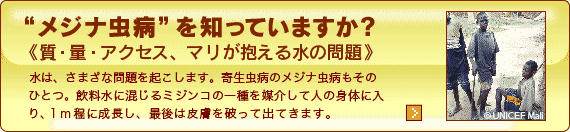 メジナ虫病を知っていますか？