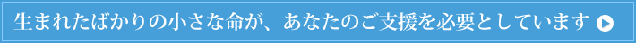生まれたばかりの小さな命が、あなたのご支援を必要としています。