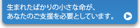 生まれたばかりの小さな命が、あなたのご支援を必要としています。
