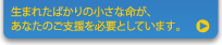 生まれたばかりの小さな命が、あなたのご支援を必要としています。