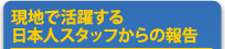 現地で活躍する日本人スタッフからの報告