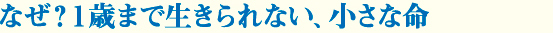なぜ？１歳まで生きられない、小さな命