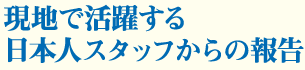 現地で活躍する日本人スタッフからの報告