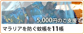 5,000円のご支援でマラリアを防ぐ蚊帳を11帳