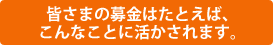 皆さまの募金はたとえば、こんなことに活かされます。
